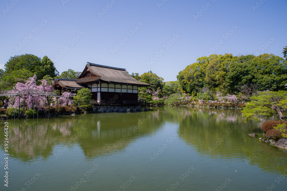 京都平安神宮の春景色