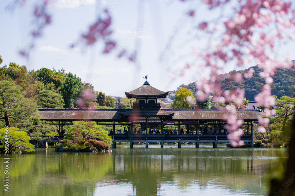 京都平安神宮の春景色