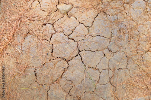 cracked clay surface due to lack of water in the dry season. this cracked, light orange clay is suitable for wallpaper or background. ground level. clay can be used as raw material for pottery.