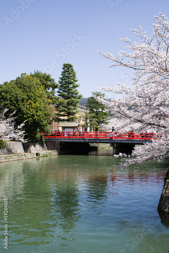 Obraz na płótnie 京都平安神宮の春景色 w salonie