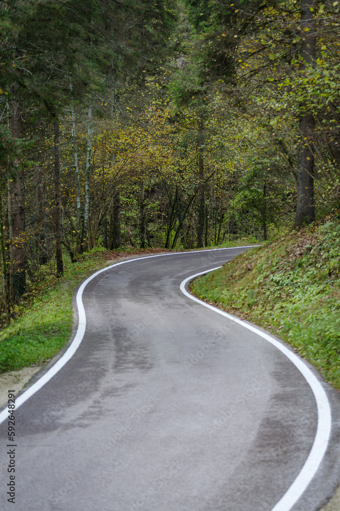 Road through the wooded area, Dolomites; Trentino Alto Adige; Italy