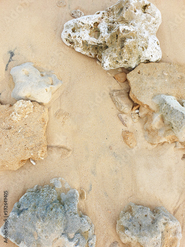 close-up of sand and coral background
 photo