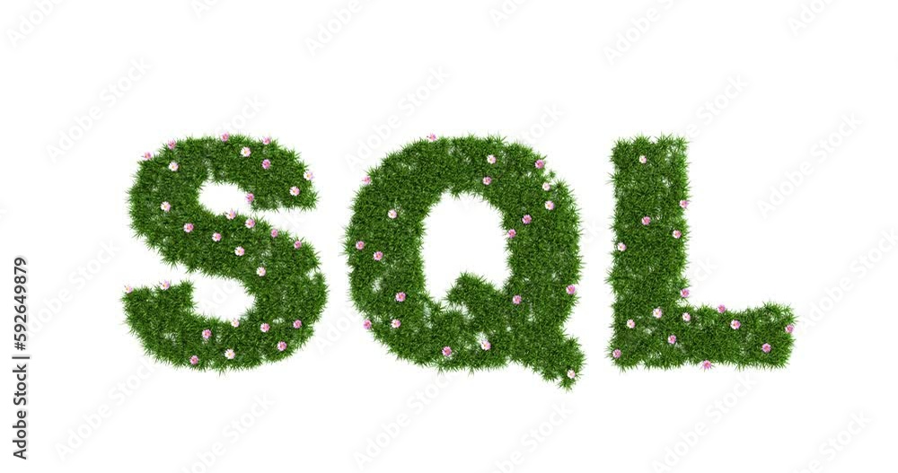 SQL sign made of green grass with flowers, the concept of increasing the database or the growth of knowledge in training, anination video 4k, 3d rendering SQL sign made of green grass with flowers, the concept of increasing the database or the growth of knowledge in training, anination video 4k, 3d rendering