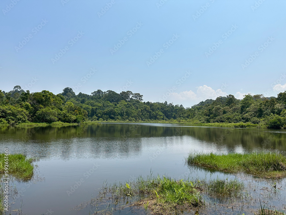 The landscape of Khao Yai National Park The landscape of Khao Yai National Park