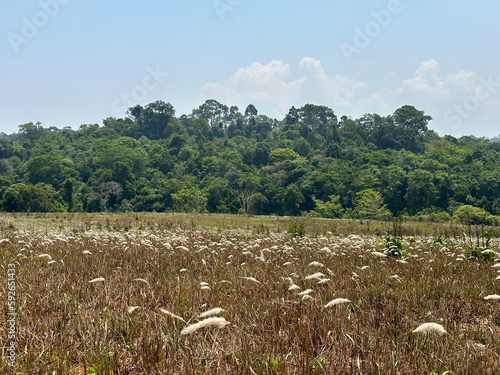 The landscape of Khao Yai National Park