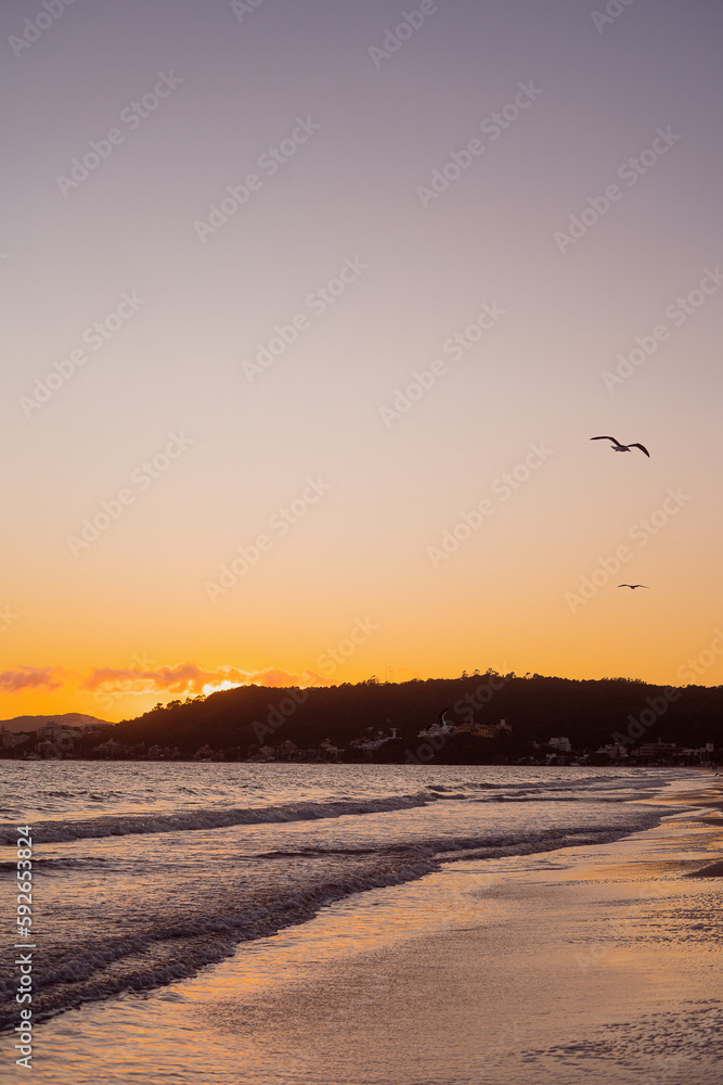 Praia nascer do sol com pássaros