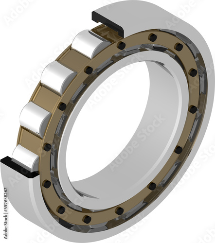 Section view of Cylindrical Roller Bearing