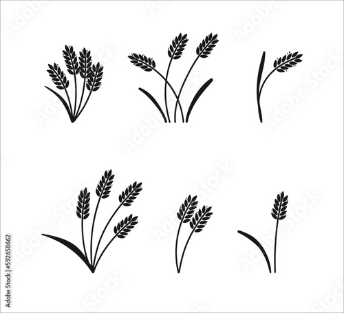 Wheat ears. Barley or rice black silhouette, beer or bakery logo isolated elements, organic farm elements for label and emblem, bread packaging, decorative objects, ripe spikelets, vector set