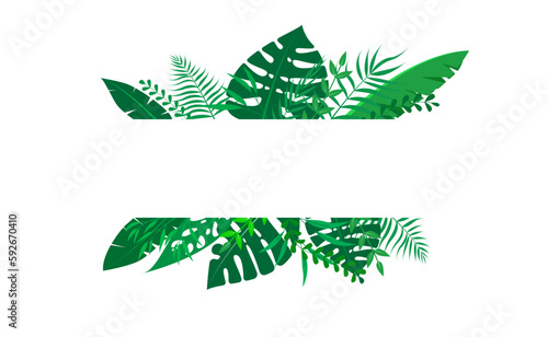 Vector floral frame Forest fern tropical leaf folliage