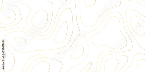 Panorama view gradient multicolor wave curve lines banner background design. Vector illustration. wave Line topography map contour background .Abstract Topographic map background with wave line.