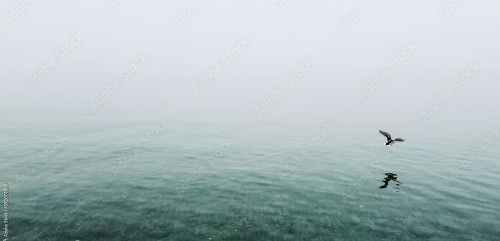 Misty Lake View