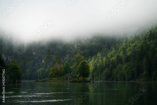Lake surrounded by the dense green forest on a foggy weather