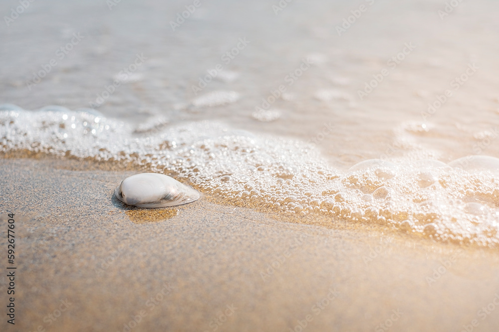 Sea shell on sand. Sea waves on the golden sand at beach Sea shell on sand. Sea waves on the golden sand at beach