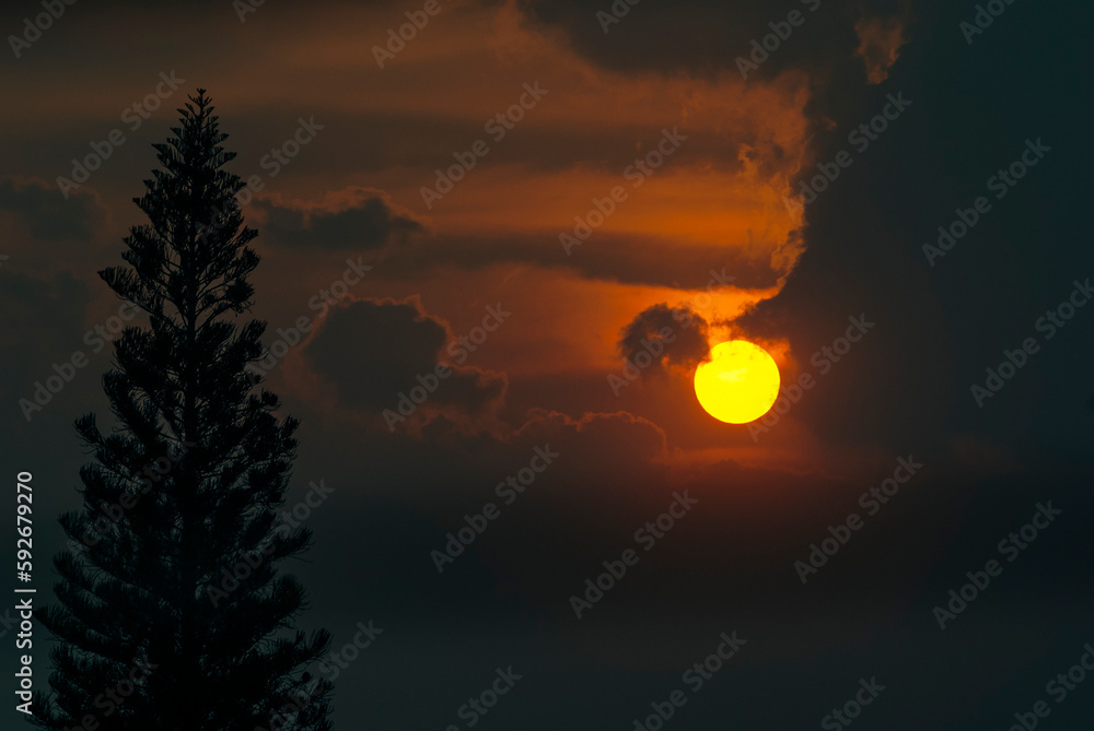 Sunrise with sky surrounded by clouds and silhouette of tree in open space.