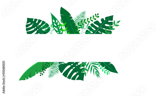 Vector floral frame Forest fern tropical leaf folliage
