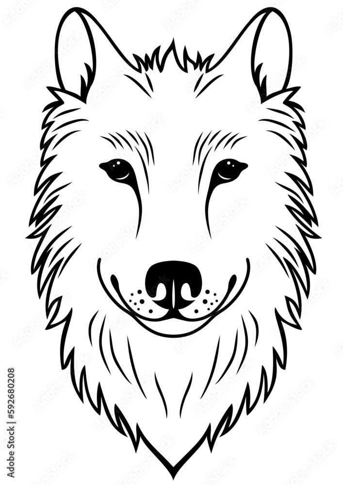 Wolf outline, vector illustration, forest animal. Wodland animal icon isolated