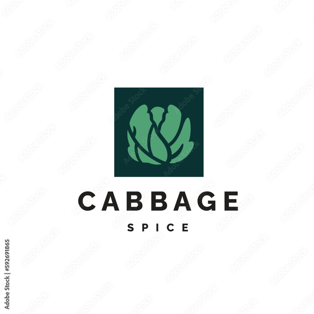 Fototapeta premium minimalistic fresh cabbage logo vector icon illustration