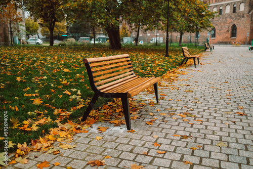 Lonely wooden bench in the autumn city park. Gdansk, Poland