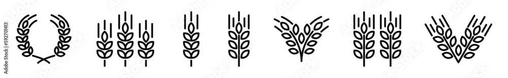 Wheat wreaths icon vector set. Grain icon collection in line style. Wheat ear icon on white background. Cereals grain, agriculture, rice stalk, bread, food, nature, harvest symbol. Vector illustration Wheat wreaths icon vector set. Grain icon collection in line style. Wheat ear icon on white background. Cereals grain, agriculture, rice stalk, bread, food, nature, harvest symbol. Vector illustration