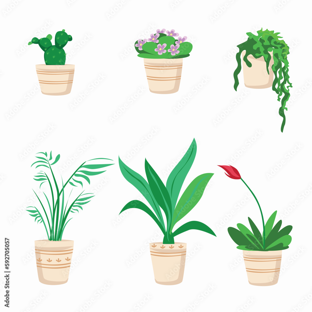Vector set of different house plants in simple flat style. Home and office interior decoration. Vector set of different house plants in simple flat style. Home and office interior decoration.