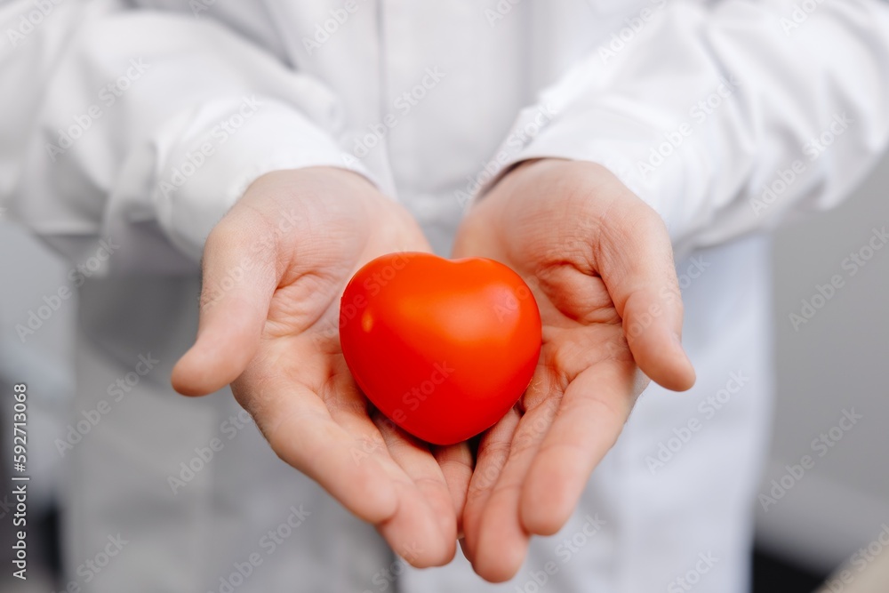 Doctor in white coat holding a red heart in hands close up. Medical health care and doctor staff service concept Doctor in white coat holding a red heart in hands close up. Medical health care and doctor staff service concept