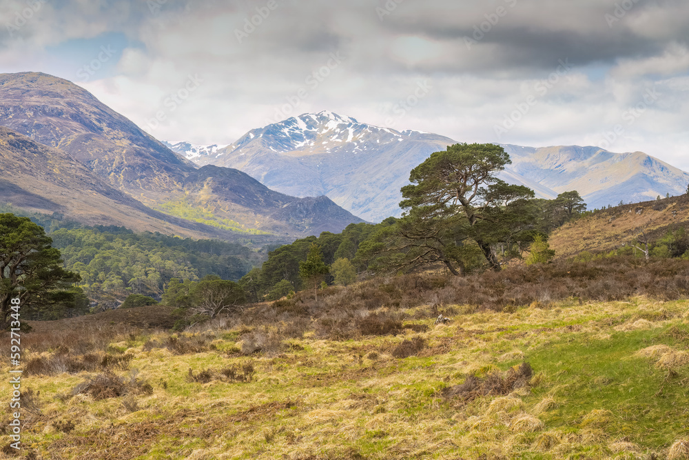 Walking on the Kintail Way at Glen Affric in the Scottish Highlands