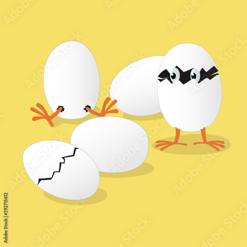 Eggs and hatched chicks