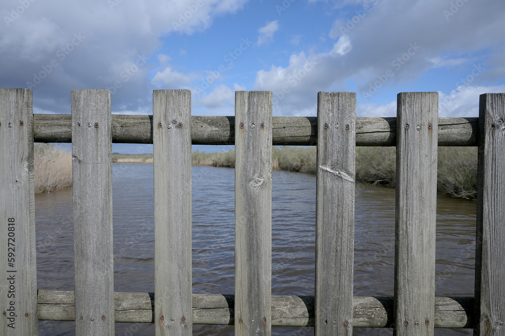 protective wooden barrier in front of a river protective wooden barrier in front of a river
