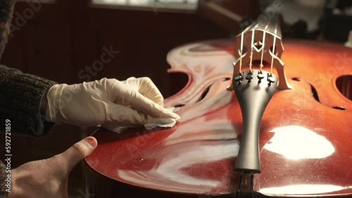 Closeup of unknown person working with gloves in luthier workshop repairing large stringed instrument or cello