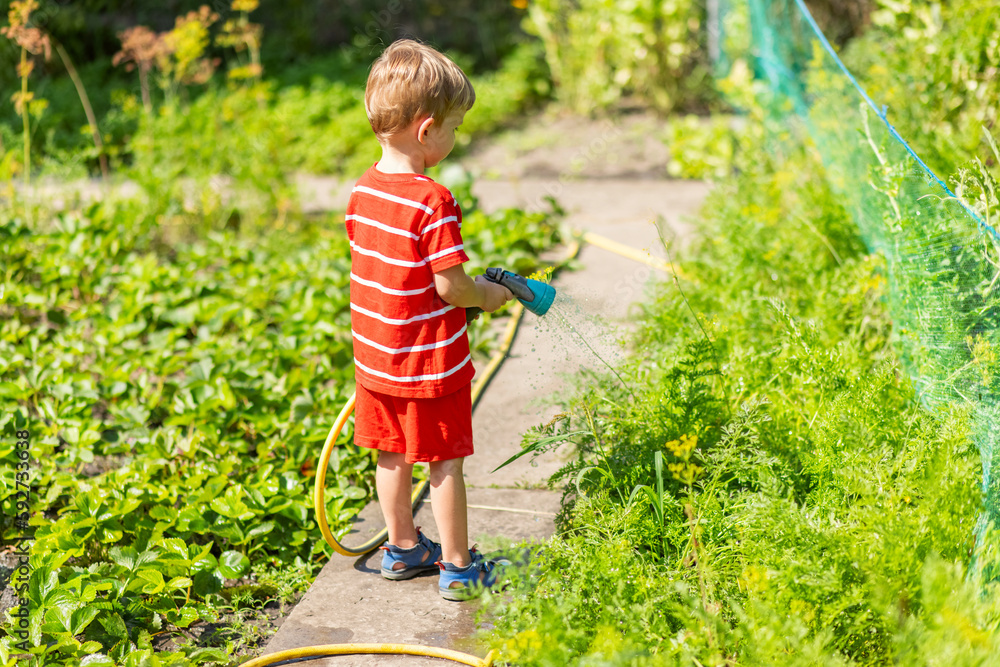 Child watering flowers and plants in garden. Little boy gardening Child watering flowers and plants in garden. Little boy gardening