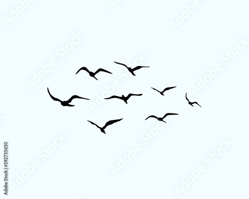 flying birds isolated on white © ulucsevda