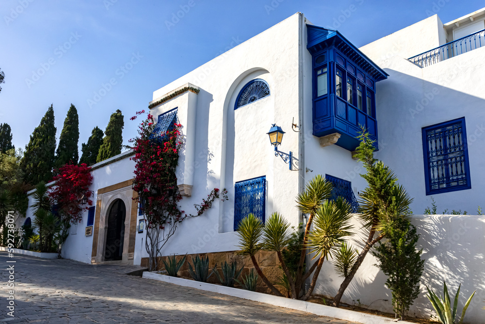 Typical Tunisian Houses, Sidi Bou Said, Tunisia Typical Tunisian Houses, Sidi Bou Said, Tunisia