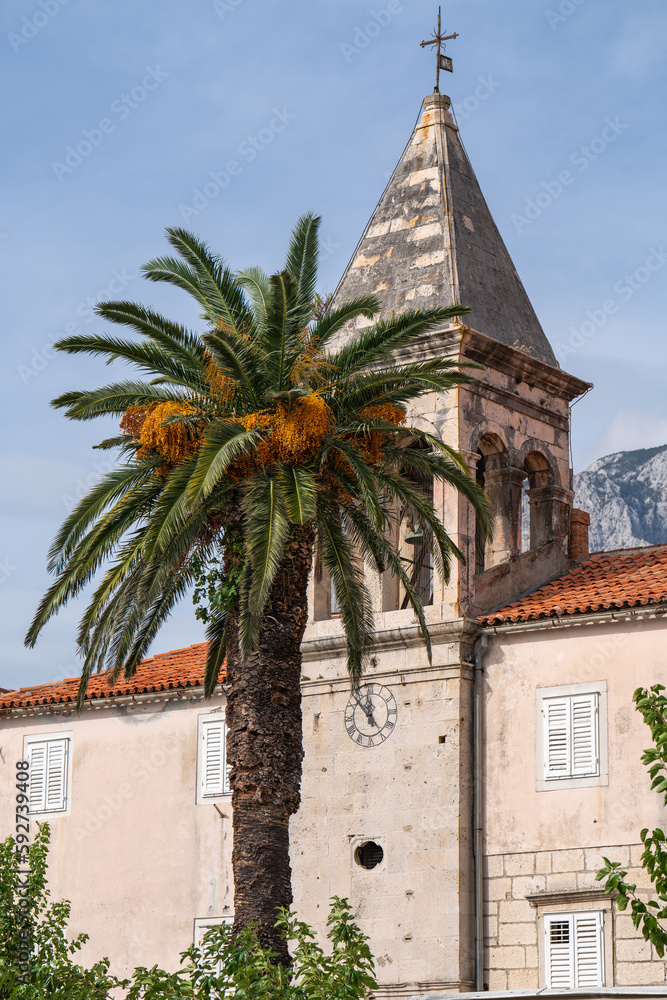 Date palm with ripe fruits in front of the temple. Summer day in colorful Croatia. Mountain landscape in the background.