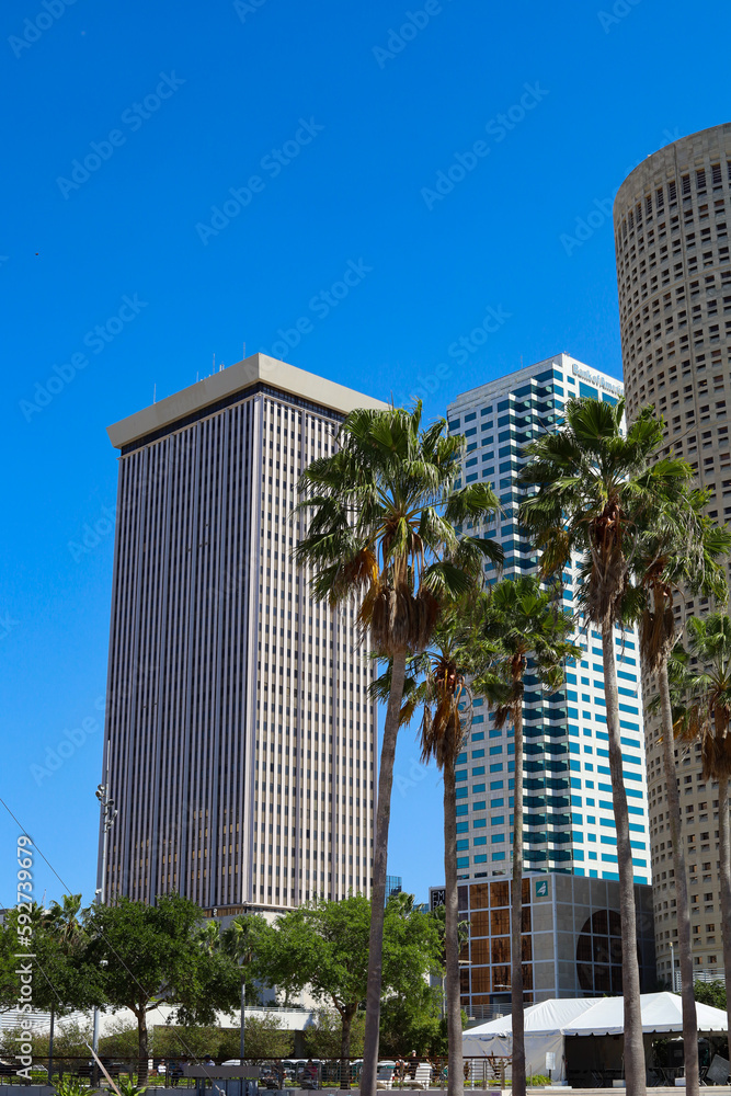 Beautiful view of downtown on a sunny summer day, Tampa, Florida	
