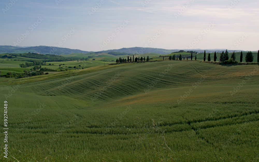 Hilly landscape of Tuscany, Italy