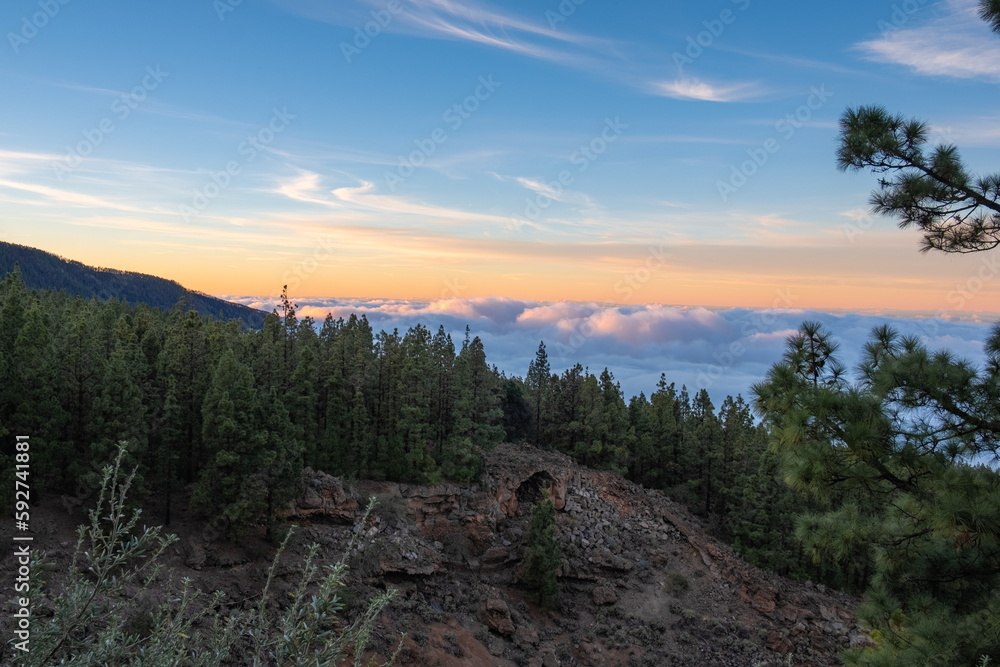 Amazing sunset orange colours of landscape of forest above clouds in mountain during summer in tenerife island, canarias, spain