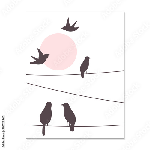 birds on a wire