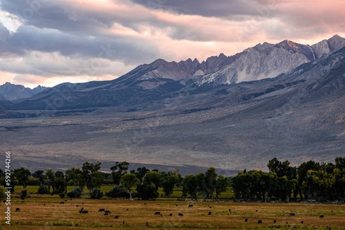 Rocky mountains with the dry grass and trees at dusk in Owens Valley, California