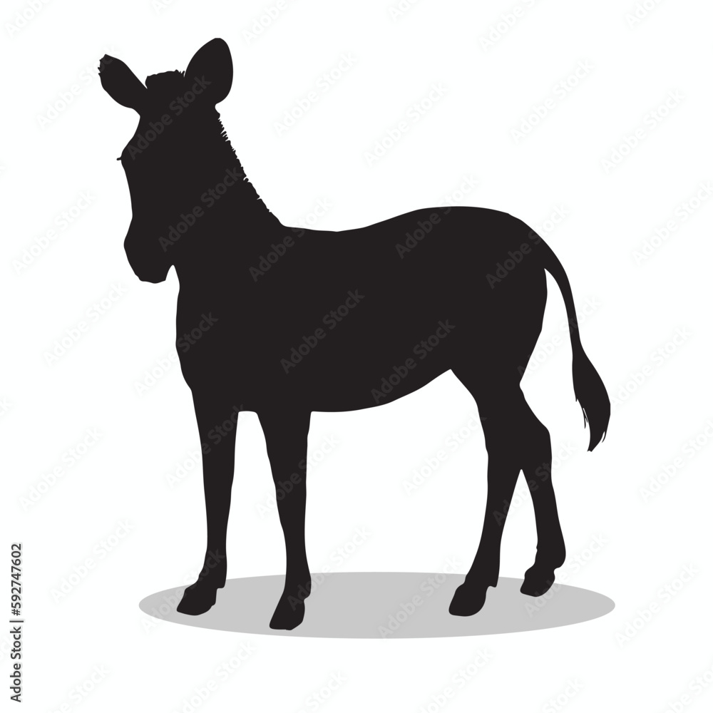Fototapeta premium Zebra silhouettes and icons. Black flat color simple elegant Zebra animal vector and illustration.