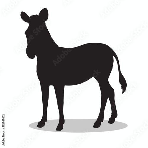 Zebra silhouettes and icons. Black flat color simple elegant Zebra animal vector and illustration.