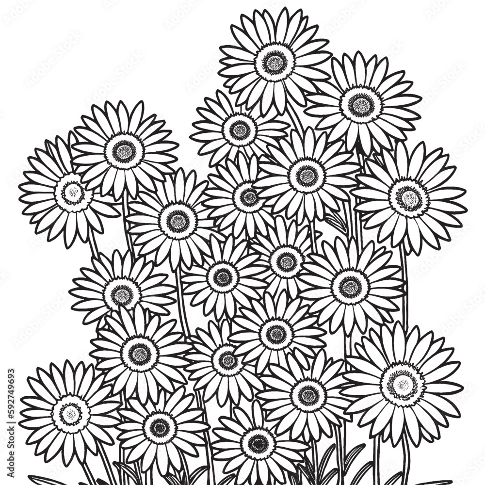 Coloring page of daises on white background Coloring page of daises on white background