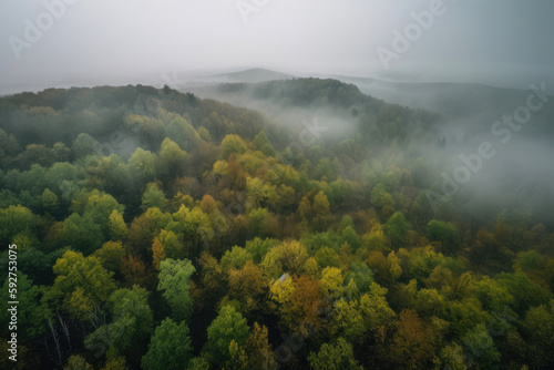Fog over green forest. Generative AI © Andrii 