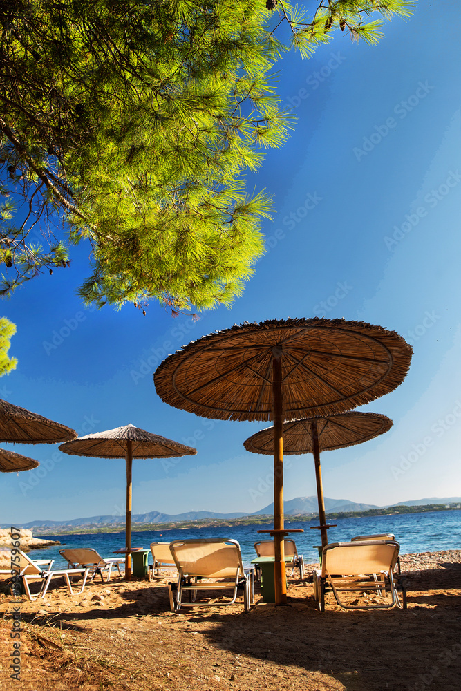Amazing emerald water of small bay in Greek islands (Spetses)  and idyllic sandy beach  with beach chairs, tents and pine treess  and small pine trees