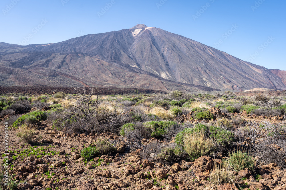 Un décors désertique avec des touffes de végétations et un volcan en arrière plan