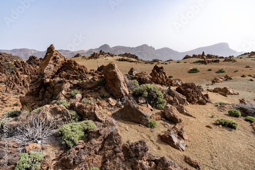 paysage désertique et minérale , martien photo