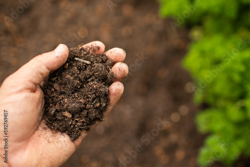 Tablou pe pânză Hand holding fertile soil dirt in the garden