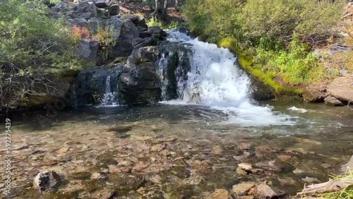 Kings Creek Falls in Lassen Volcanic National Park in northern California. Alpine cascade in a pine forest, steep cliffs and vegetation surround the area. Pre Dixie Fire.  photo