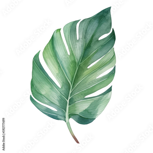 Tropical palm leaf watercolor. Illustration AI Generative.
