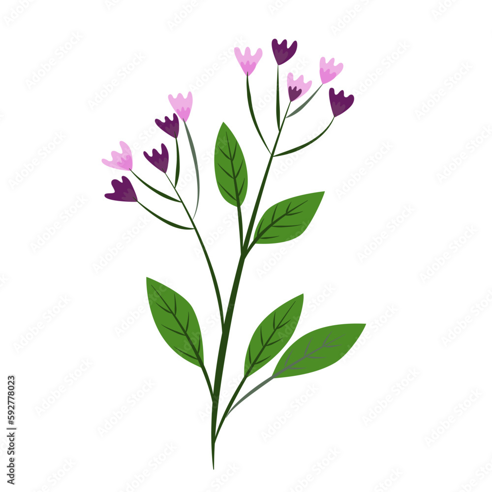 flower on white background Elements are isolated on a white background. Design for printing on cards, invitations flower on white background Elements are isolated on a white background. Design for printing on cards, invitations