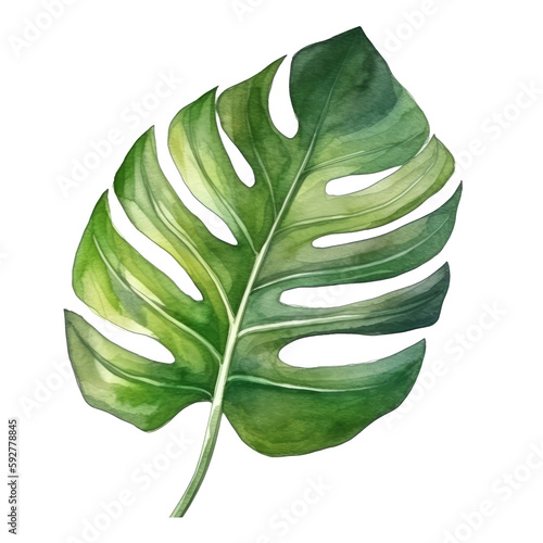 Tropical palm leaf watercolor. Illustration AI Generative.